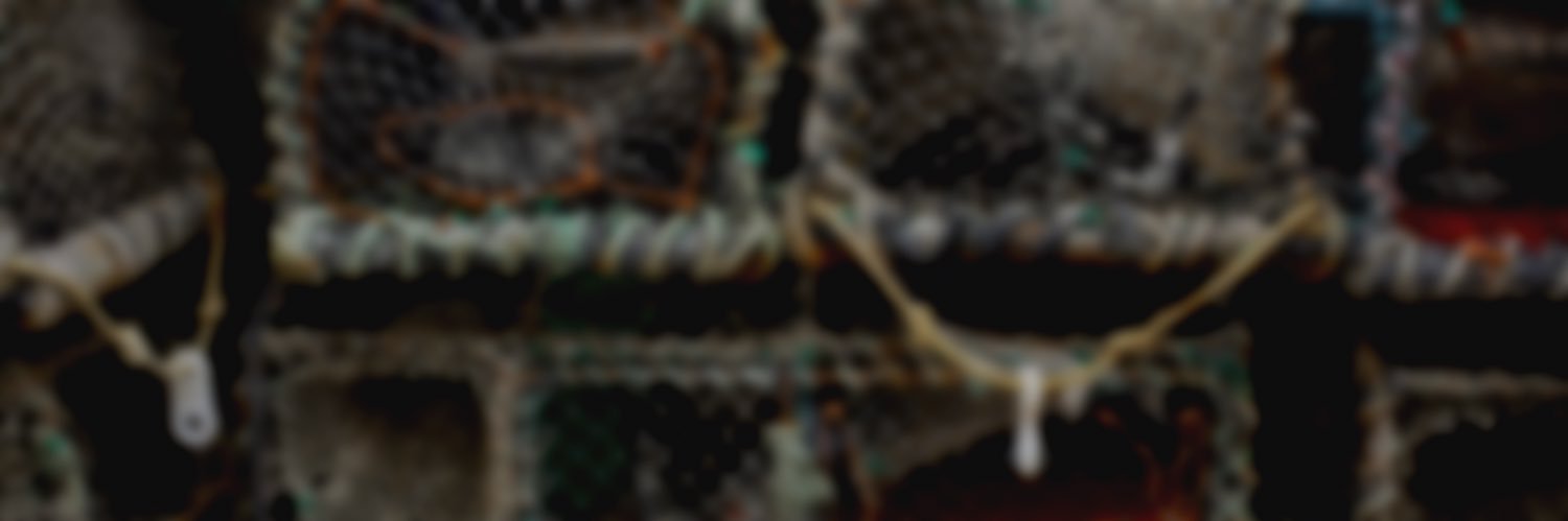 Marine Biology Matt 🗺 banner