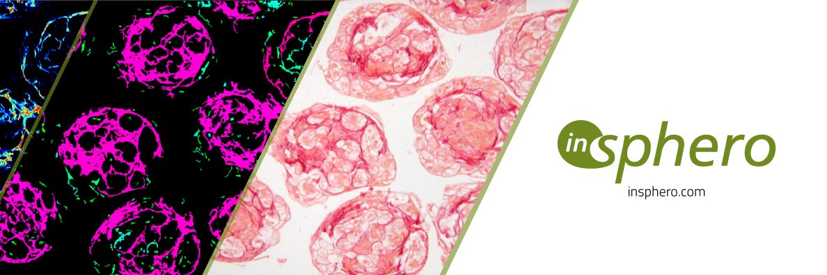 InSphero banner