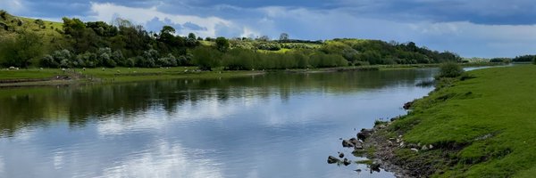 ArranBee Profile Banner
