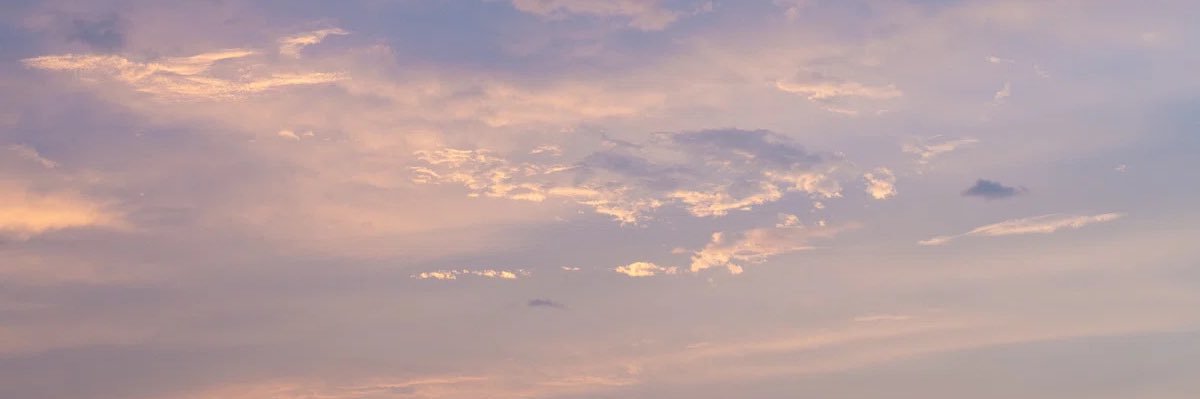 もこ⠉̮⃝🌻 banner