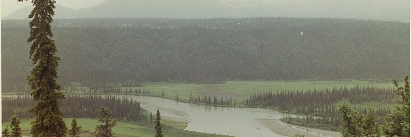 rednett's profile banner image