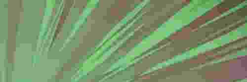 chip banner