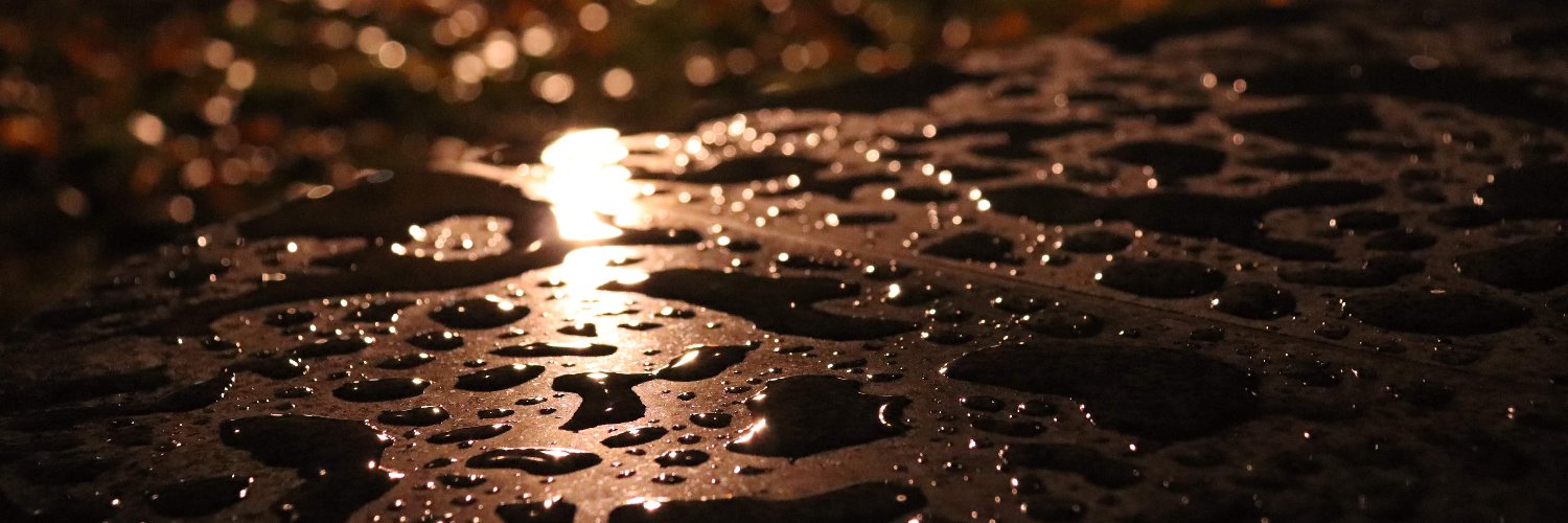 にくみそ@NWエンジニア banner