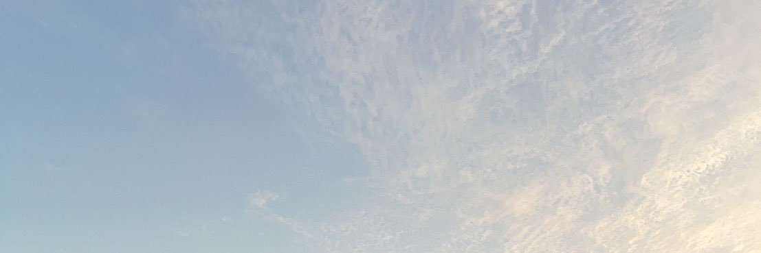 ⊂( ･θ･ )⊃ banner