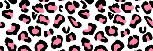 rrrraych's profile banner image