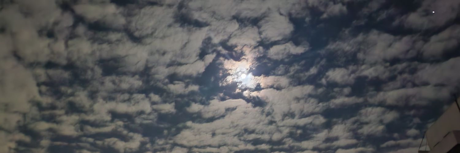nicoreinagar's profile banner image