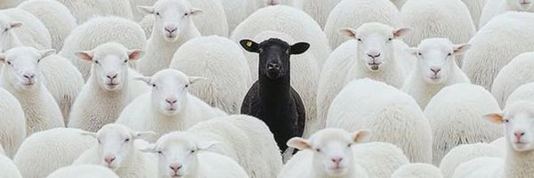 TUFFKING_1 Profile Banner