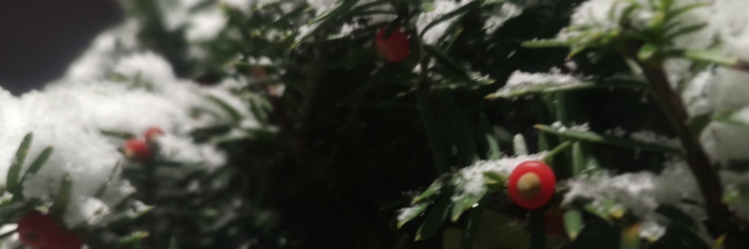 とろろはココアとパフェが好き banner