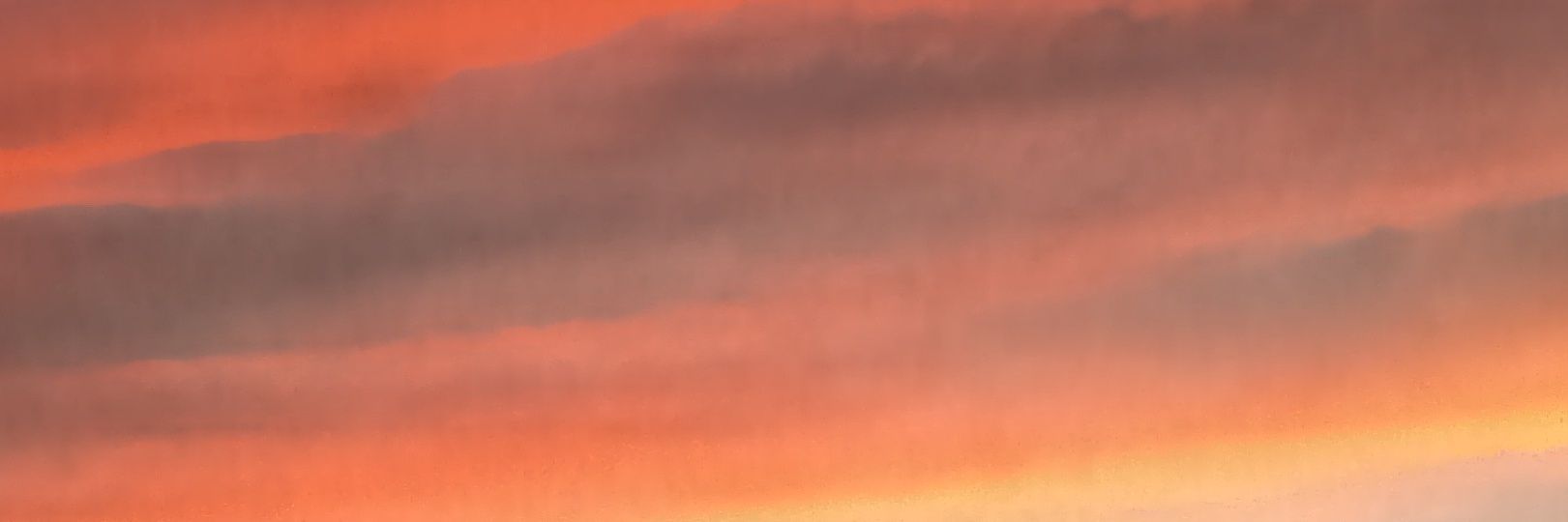 gsinatra's profile banner image