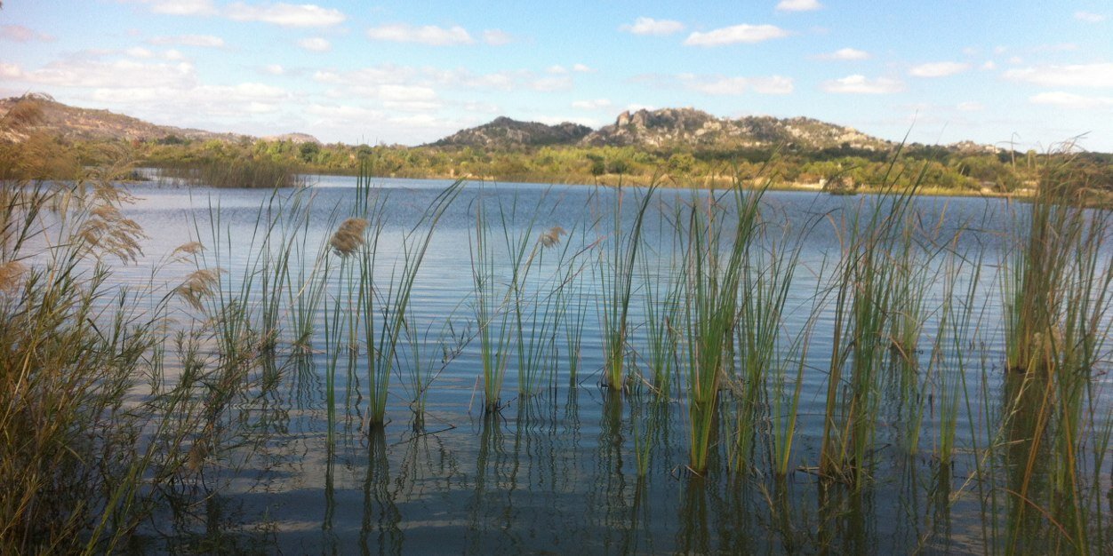 Beth Tatenda Chitekwe banner