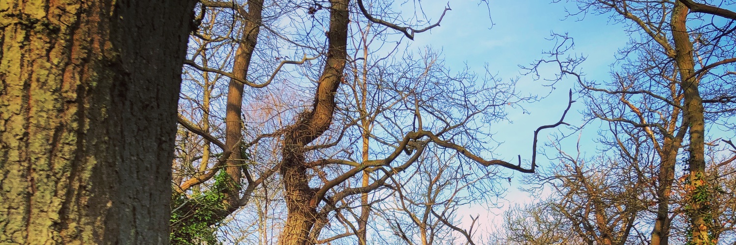 LexMurphyBlake's profile banner image