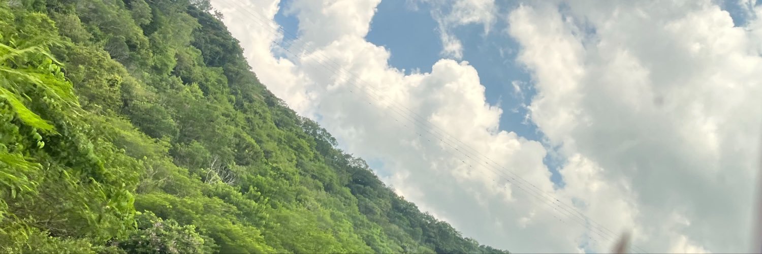 Chuleta1813's profile banner image