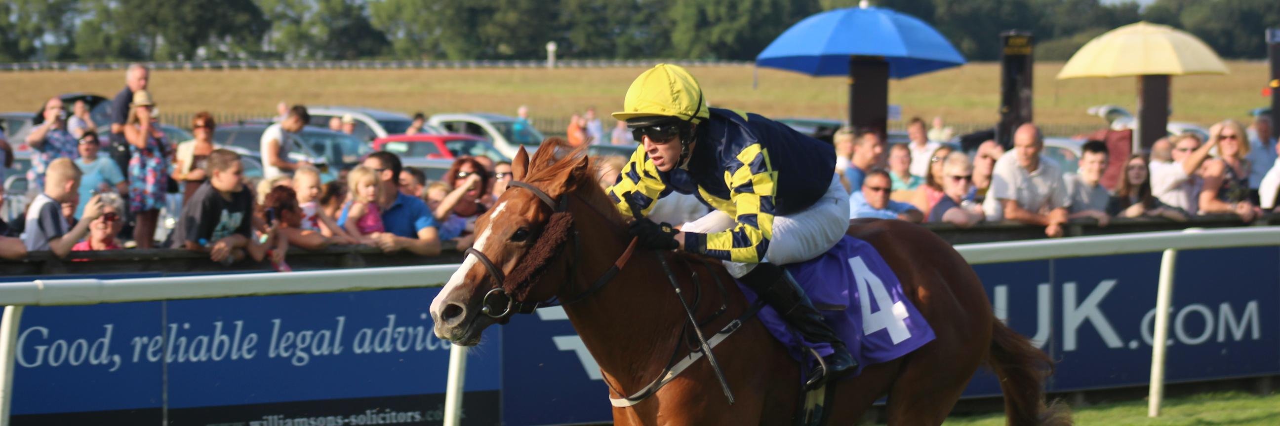 Ownaracehorse's profile banner image