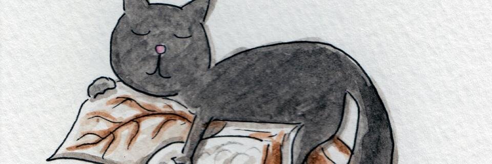 Satchi1's profile banner image