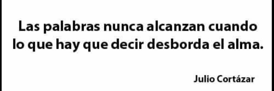 Franz Stachelig banner