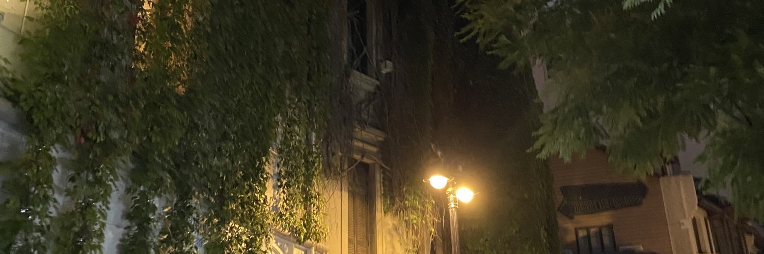 sofiaaaaaa banner
