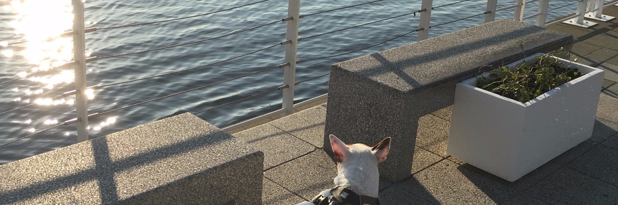 iwski's profile banner image