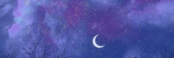 meow banner