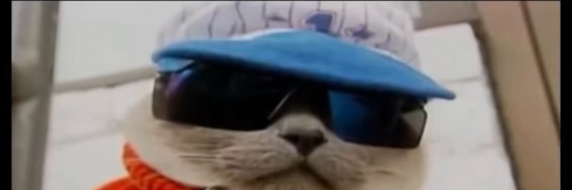 StompinTomCon's profile banner image