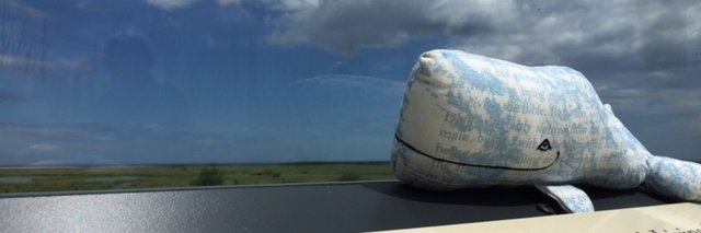 Caroline Hack banner