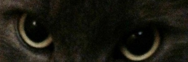 eksowtis Profile Banner