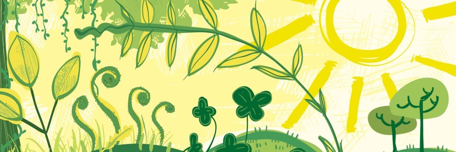 gofiddleheads's profile banner image