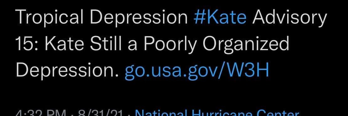 katelieb1's profile banner image