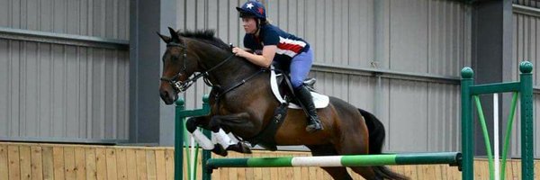 BumbleEventing Profile Banner