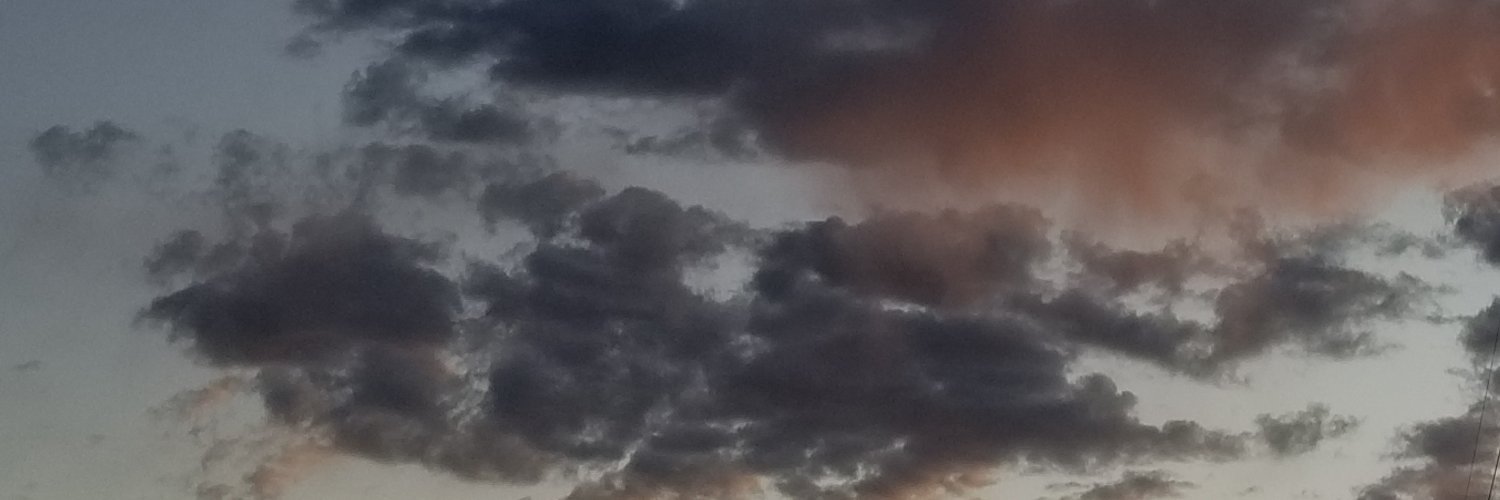 SheidaShark's profile banner image