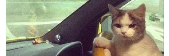 Its me really banner