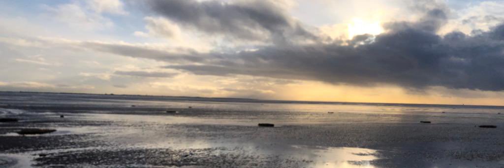 Roya Armstrong banner