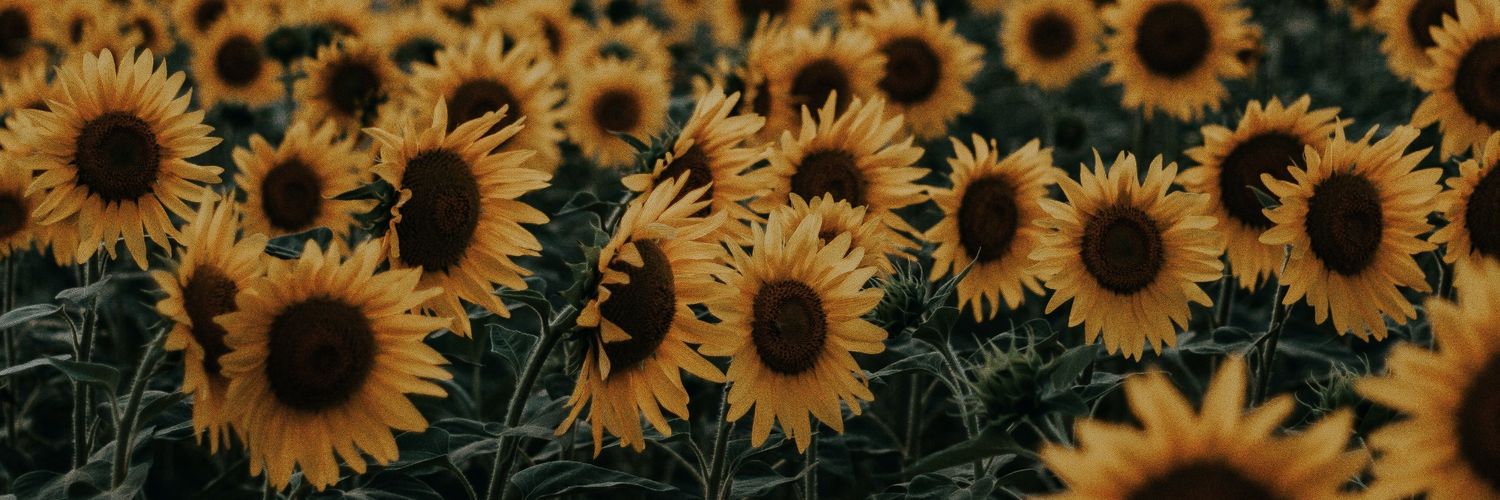 eunicebecerrab's profile banner image