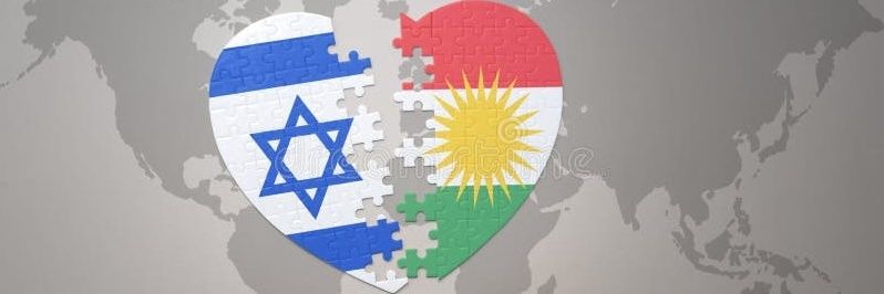Kürdistan Musewisi banner