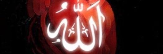baba7535's profile banner image
