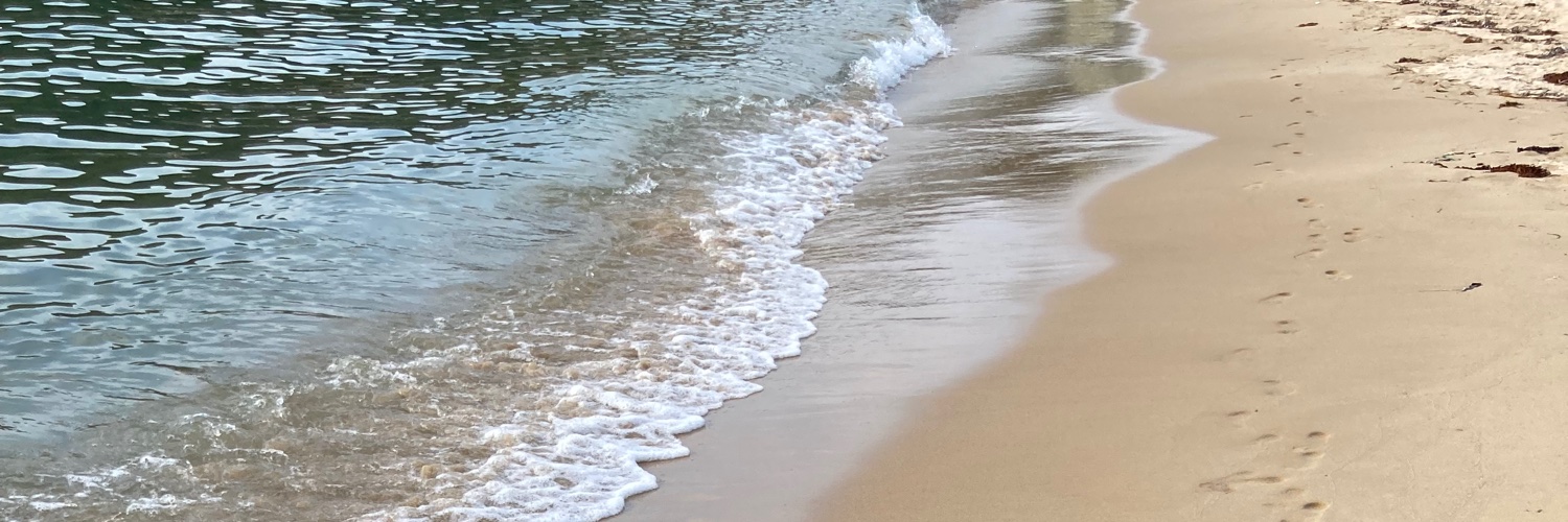coconutrainbow's profile banner image