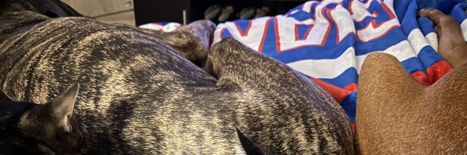 Rider of Rohan banner