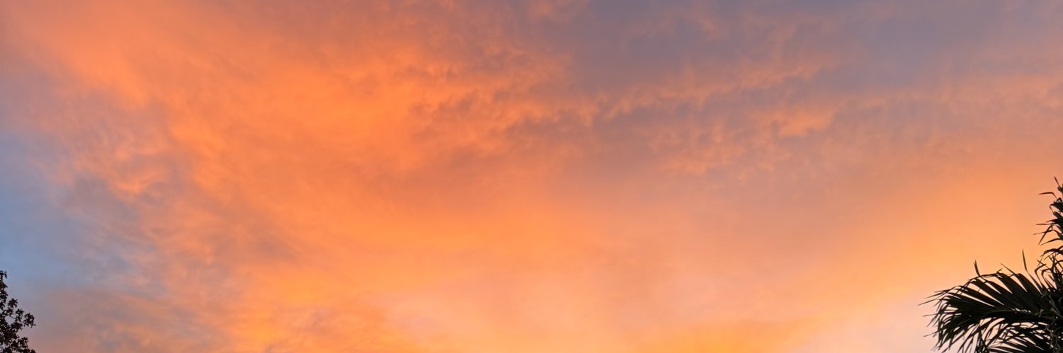 brigette1994's profile banner image