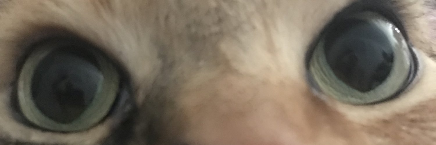 Vixeth's profile banner image