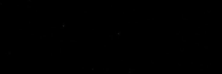Yori. banner