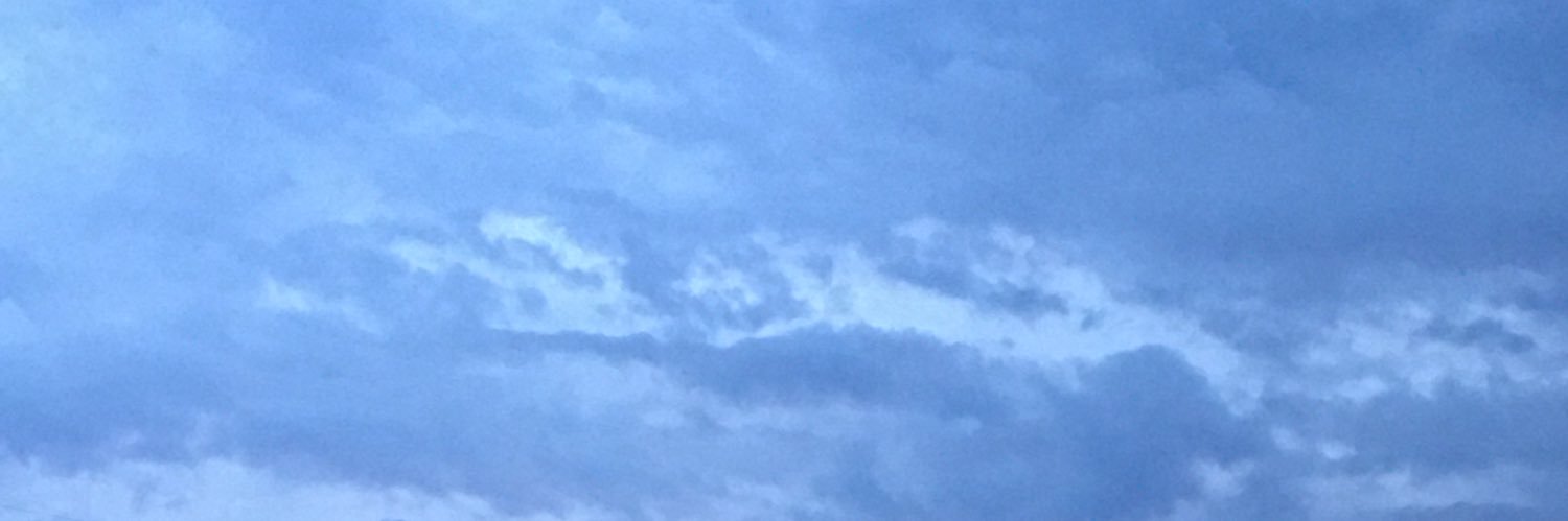 S16 banner