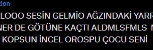 miss understood⋆𐙚₊˚⊹♡ banner