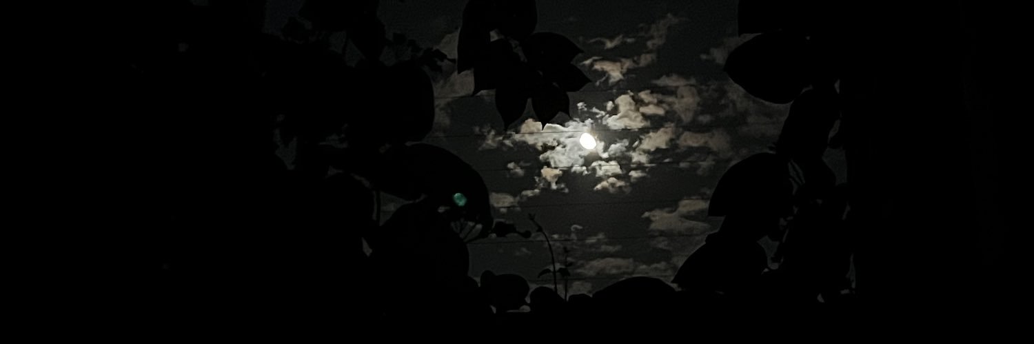 grffdu's profile banner image
