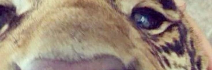 25👅 banner
