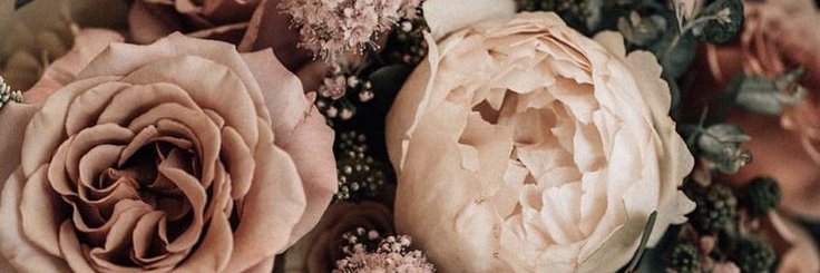 Jennifer Davies banner