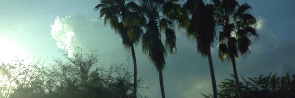 INESIZZLE's profile banner image