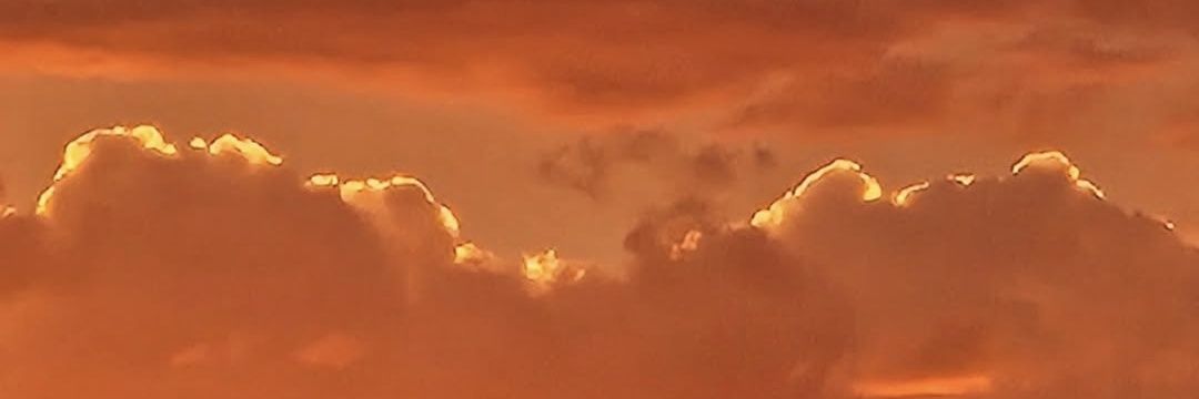 sofiadks's profile banner image