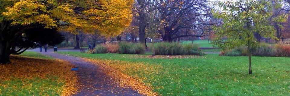 TheAgeOfBananas 🇬🇧 banner