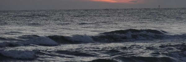 RatherBeGulfing Profile Banner