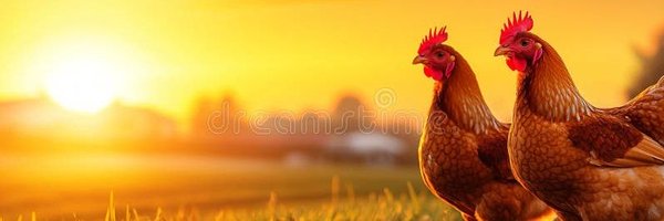 ArdriBawkBawk Profile Banner