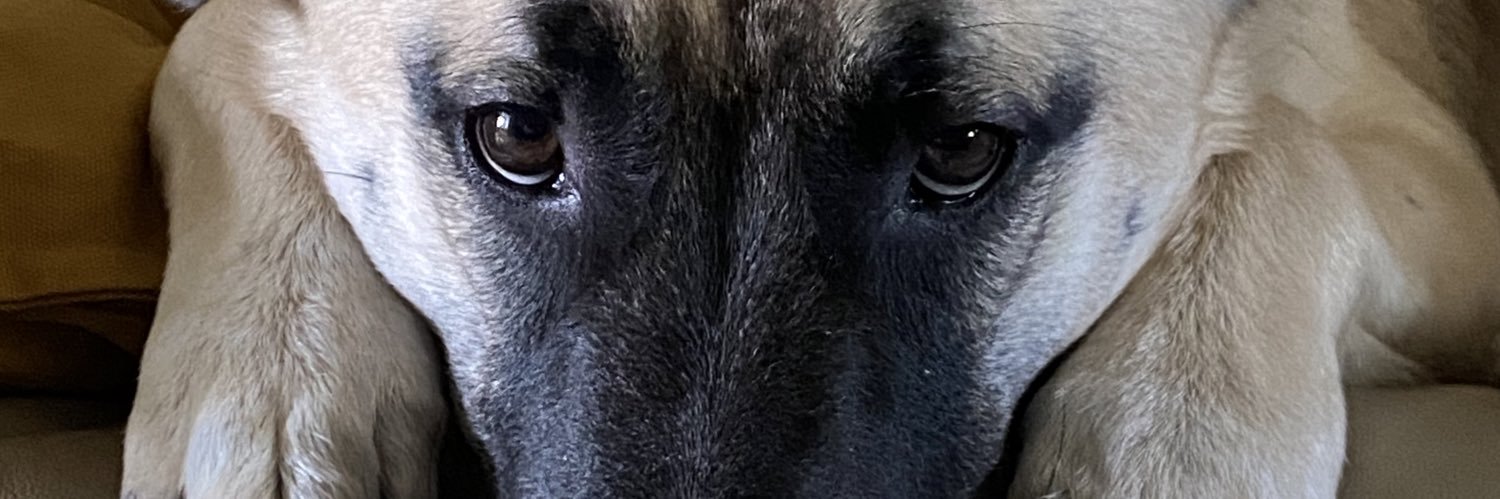 pjdueck's profile banner image